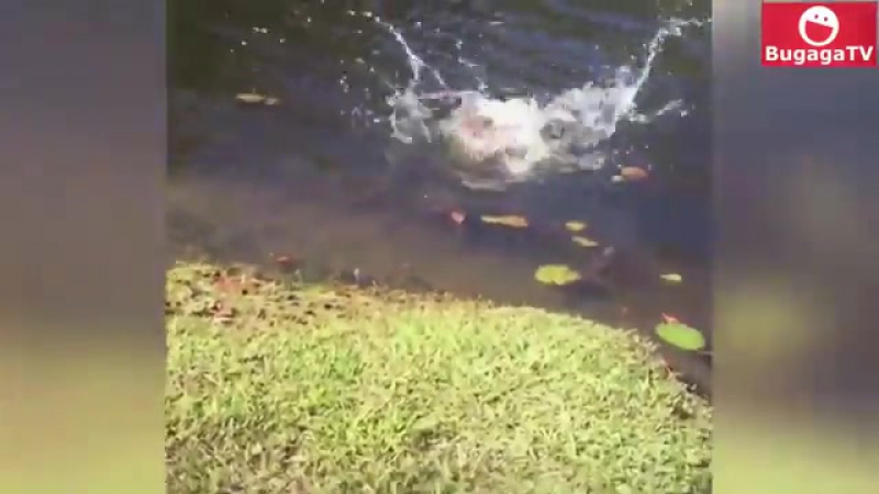 Попил водички