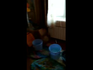 Vid 20200228 161540 mp4