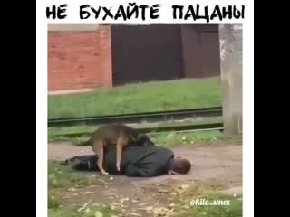 Не бухайте пацаны