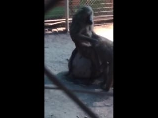 Жалаңаш Ксения Качалин Жыныс перісі онлайн порно