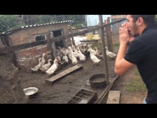 Свой в доску (vhs video)