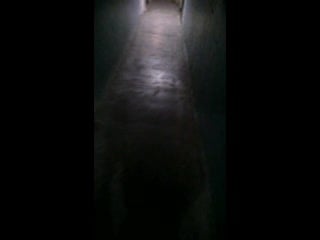 Обычный падик в кудряшах