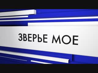 Зверье мое 2