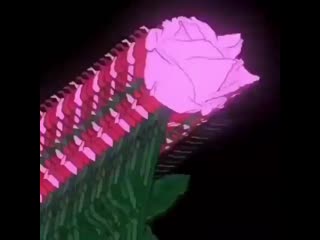 Colibri muz 20200622 072307 0 mp4