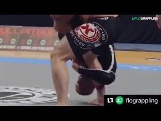 Xande ribeiro rustam chsiev adcc 2017