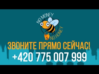 "no money no honey" самые быстрые займы в праге!