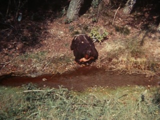 Jos stelling "elkerlyc" 1975