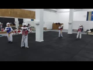 Тхэквондо втф