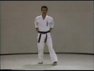 Rod mindlin s okinawan uechi ryu karate (vol 2)