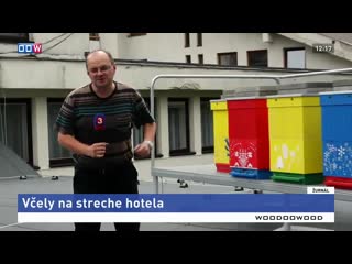 V tatrách experimentujú so včelami na streche hotela