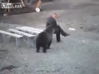 Russian man doesn’t give a damn about bear roaming nearby