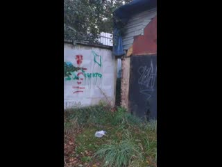 Vid 20200910 190135 mp4