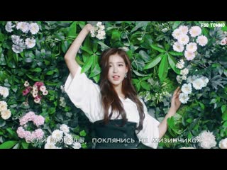 [рус саб] busters pinky promise | fsg tommo