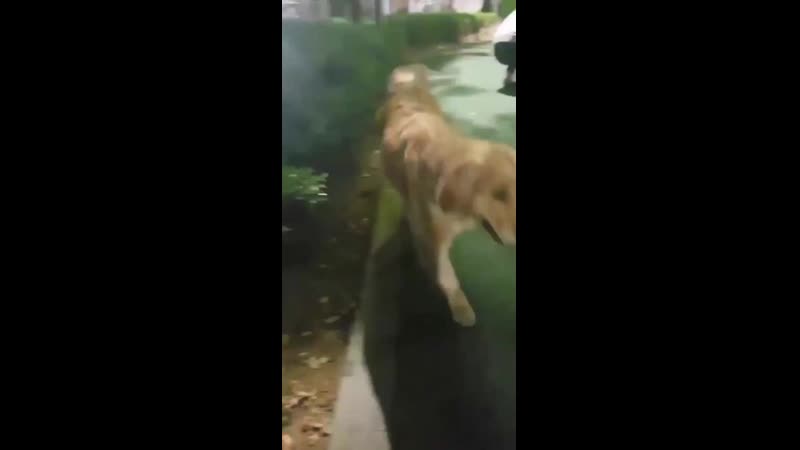 190423 gunmins insta story gunmin 건민 boysingroove 비아이지 mp4