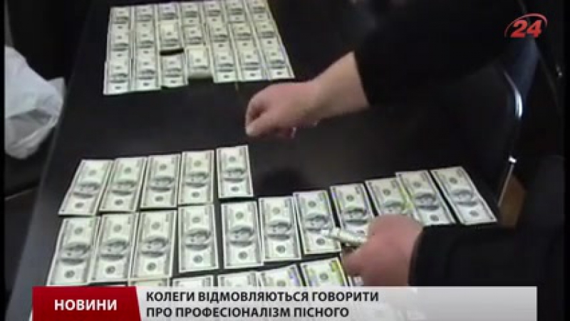 Журналісти показали величезні маєтки та чималий бізнес пісного