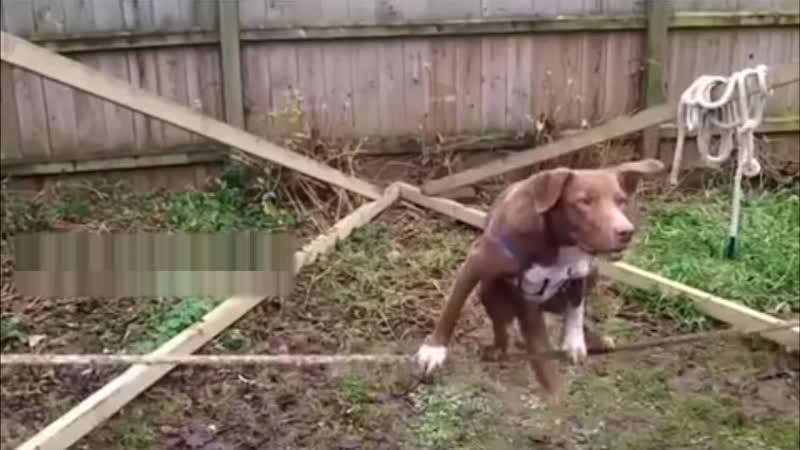 Очевидное невероятное