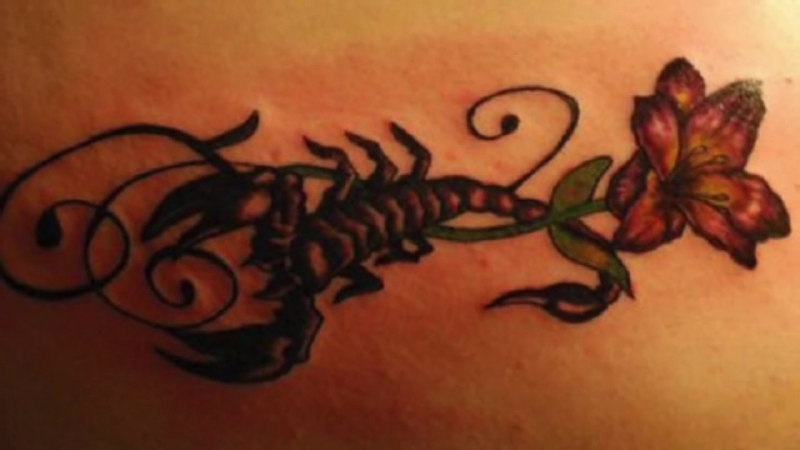 Тату скорпион значение для девушек и мужчин эскизы и фото