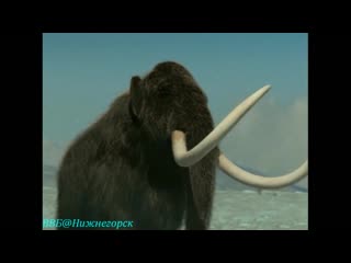 Bbc «первобытная америка» земля мамонтов (документальный, 2002)