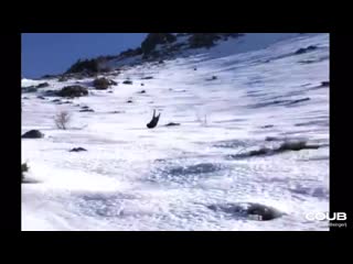 Музыкальный кабанчик 2