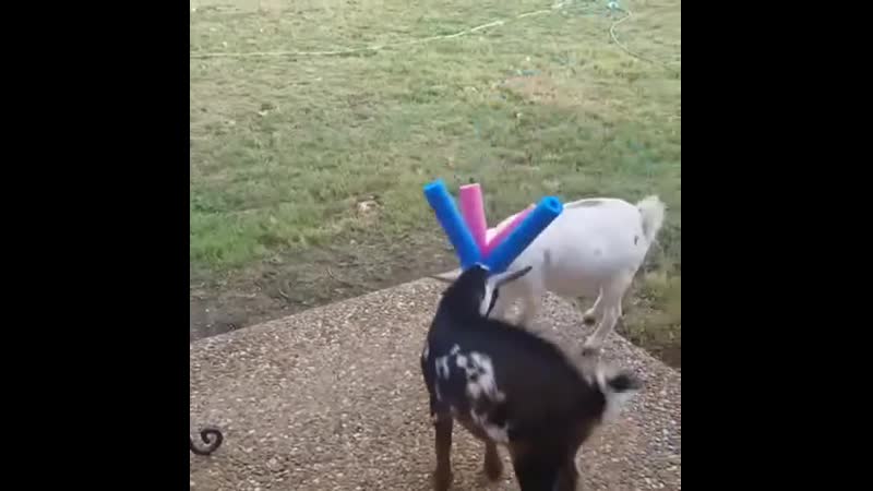 Безопасность превыше всего