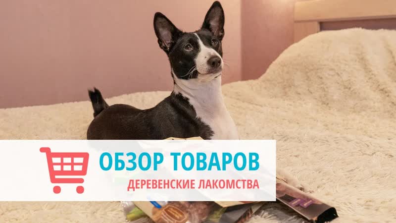 Афина и множество деревенских лакомств