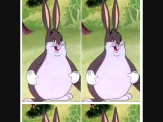 Big chungus #6
