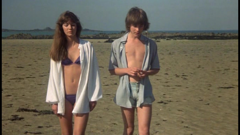 Отель на пляже / l'hôtel de la plage 1978 (мишель ланг)