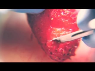 Strawberry seed extraction and nutella augmentation