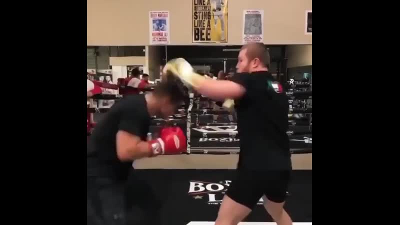 Тренироа с канело