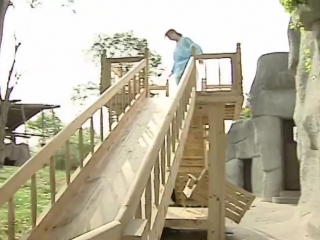 Cute pandas playing on the slide