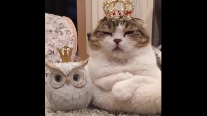 Ее королевское величество