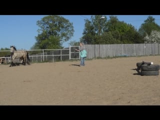 Лёлик прыгает