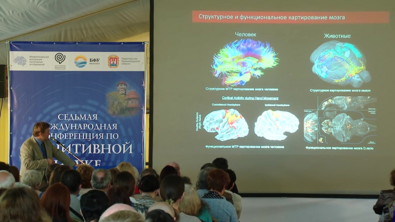 Анохин константин коннектом и когнитом заполнение разрыва между мозгом и разумом