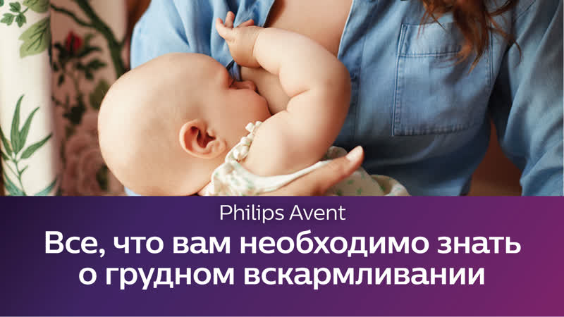 Школа philips avent все, что вам необходимо знать о грудном вскармливании
