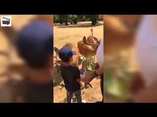 Shilpa shetty at bushy park in london