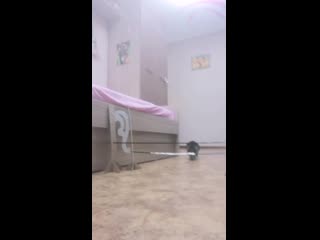 Vid 20200314 203722 mp4