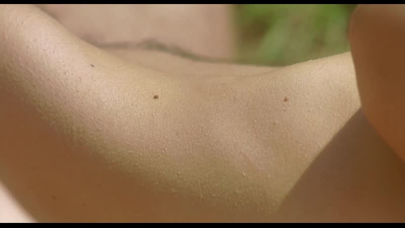 Тильда суинтон я это любовь / tilda swinton io sono l’amore ( 2010 )