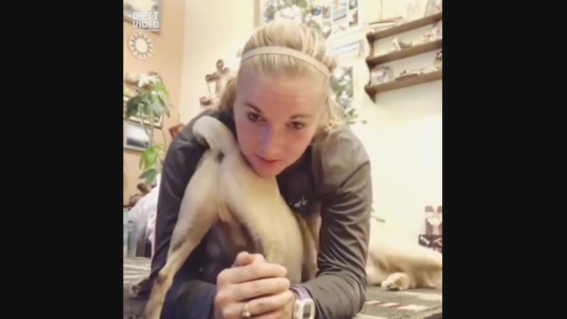 Занятие йогой с домашними молодые