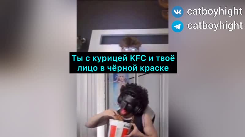 Catboykami в шоке от наглости белого щегла