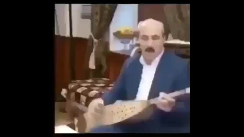 Рамазан отжигает [шапишкины]