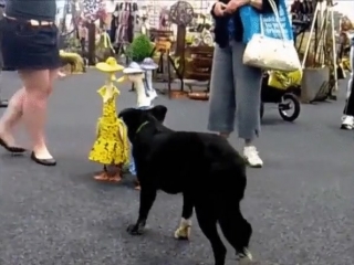 Девочки уходим