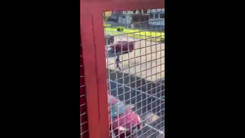 Судьба пешехода