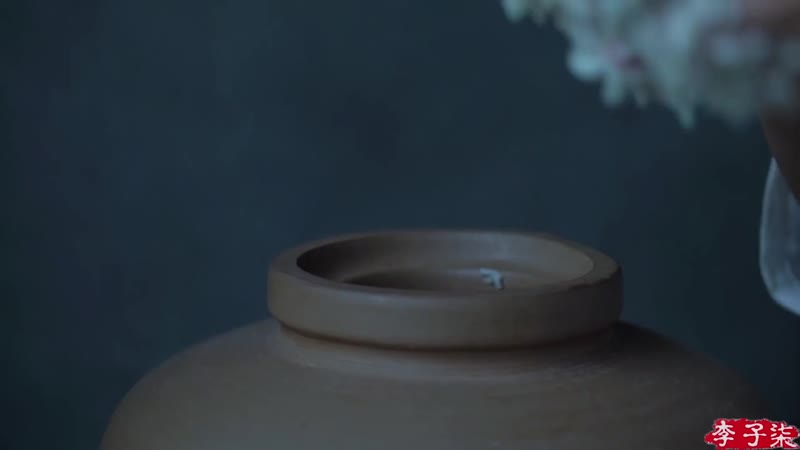 I have the fragrant and sweet lotus wine, do you have a story to share؟我这儿有清香甘甜的荷花酒，你有故事吗？¦liziqi