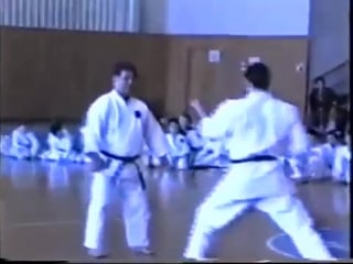 Morio higaonna training sanchin kata and bunkai kata of goju ryu karate