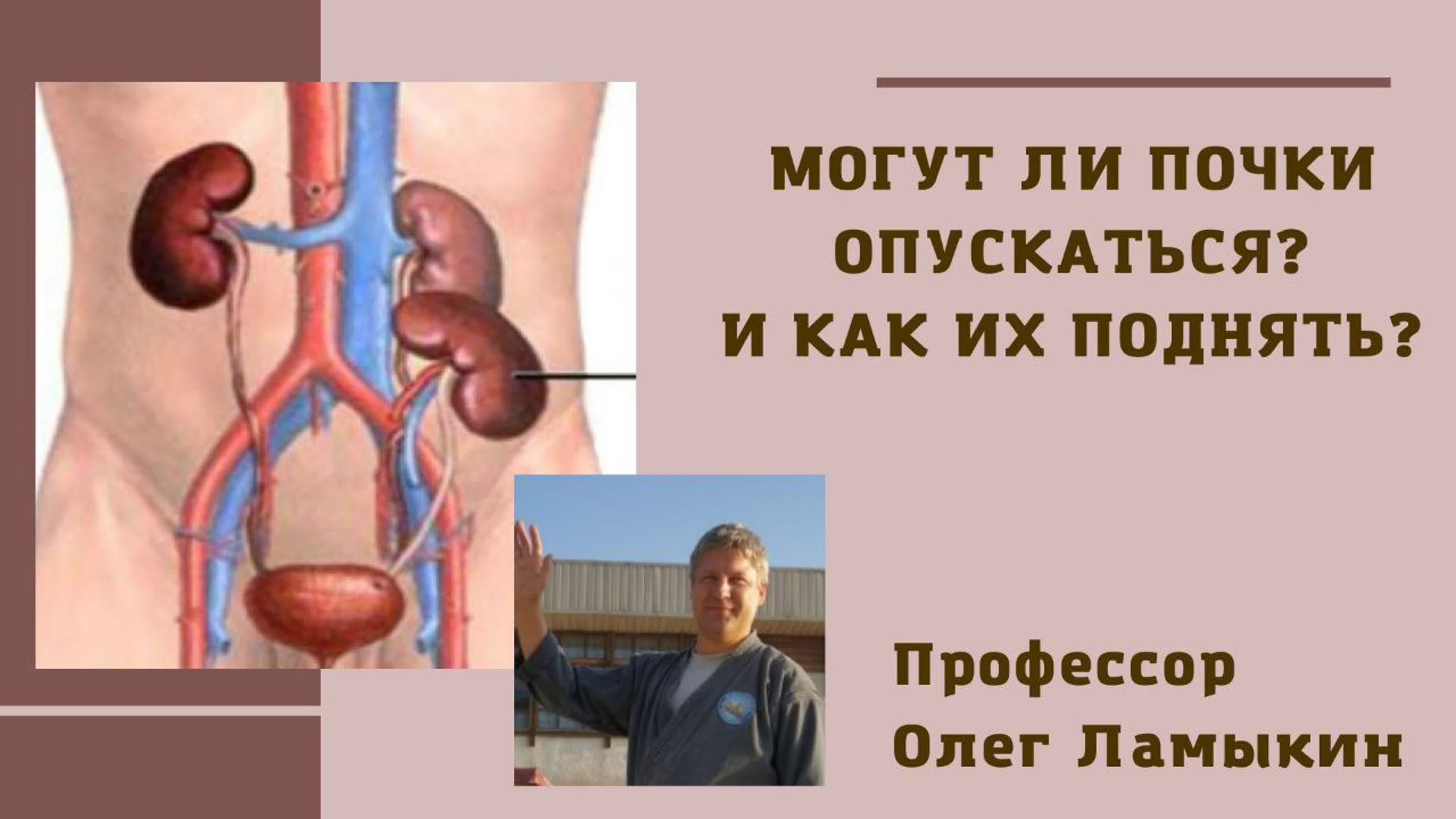 Могут ли почки опускаться? и как их поднять? проф ламыкин о д watch online