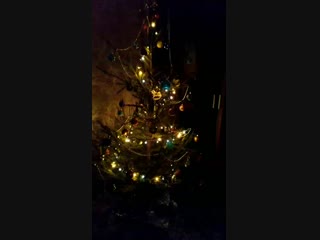 Vid 20181227 224417 mp4