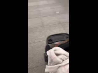 Aurika alekhina 20200906 5 mp4