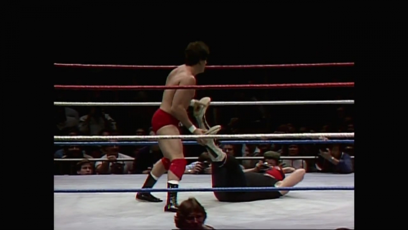 Wrestlemania porn video – Wwf wrestlemania 1 (eng)