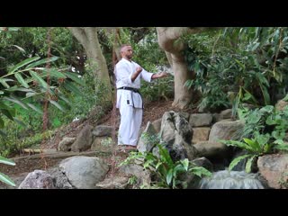 Sanchin kata in the chinese park in okinawa, 2017 sensei aleksandr grib 6th dan