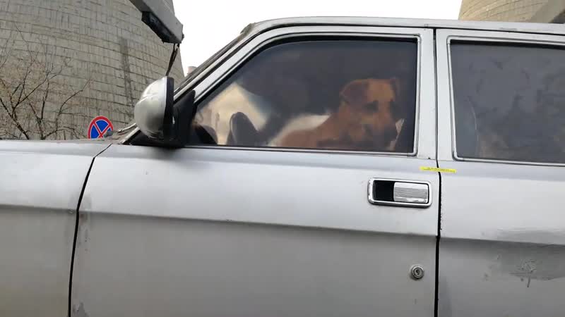 Эвакуация машины с молодые внутри